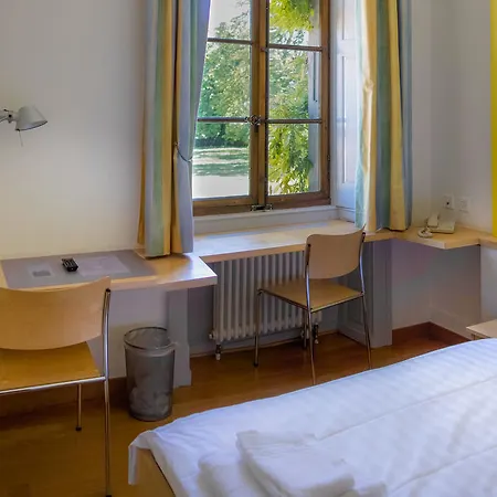 Chateau De Bossey فندق