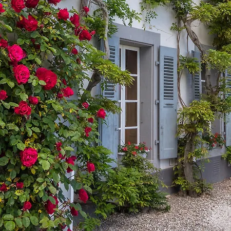 Chateau De Bossey 3*