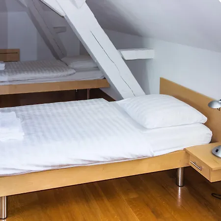 波塞城堡酒店 博哲斯博瑟