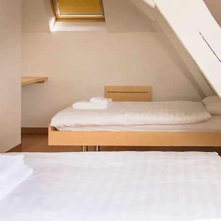 Chateau De Bossey Ξενοδοχείο 3*
