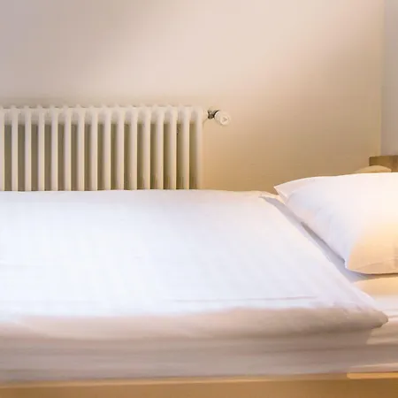 Chateau De Bossey Hotel 3*