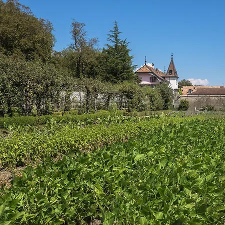 波塞城堡酒店 3* 博哲斯博瑟