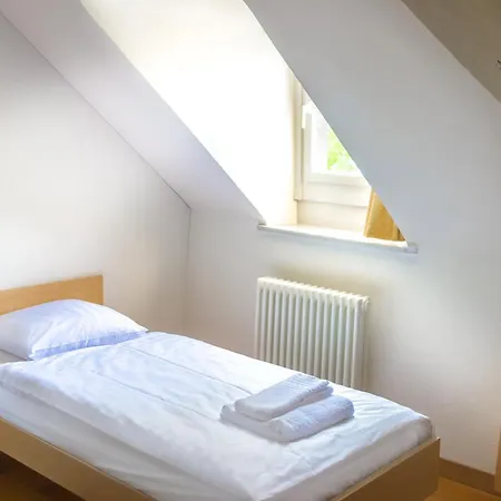 فندق Chateau De Bossey 3*