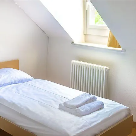 Hotel Chateau De Bossey 3*