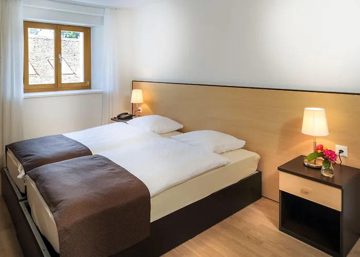 Chateau De Bossey Otel