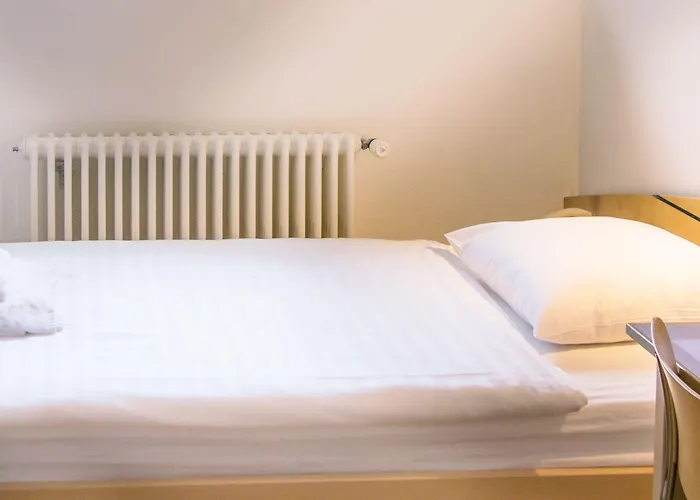 Chateau De Bossey Otel 3*