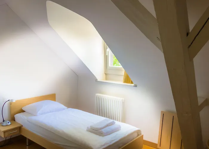 Chateau De Bossey Otel 3*