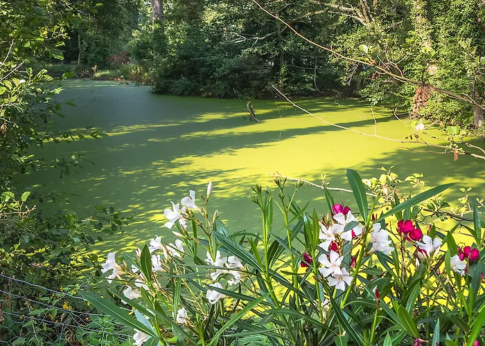 Chateau De Bossey Bogis-Bossey