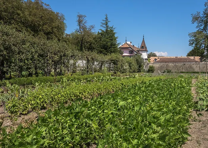 Chateau De Bossey 3* Bogis-Bossey