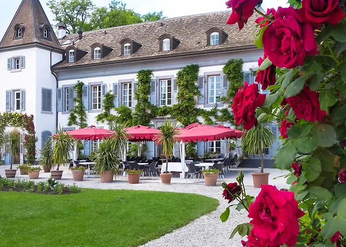 Chateau De Bossey Otel 3*