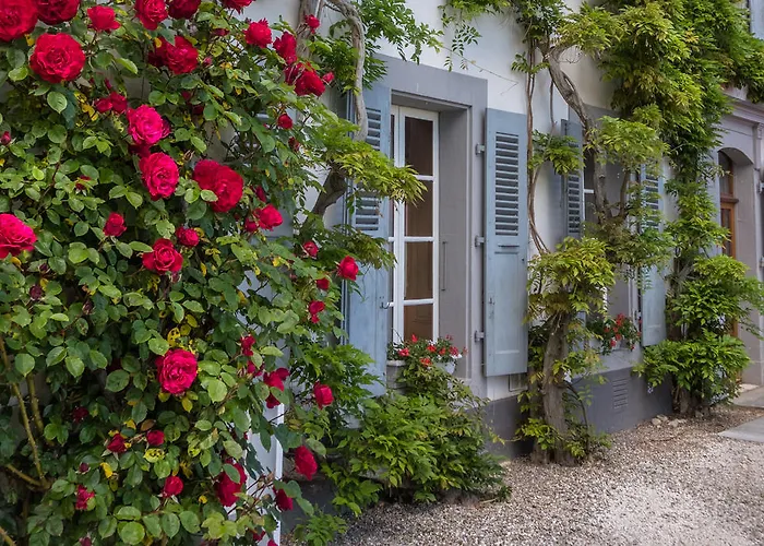 Chateau De Bossey 3*